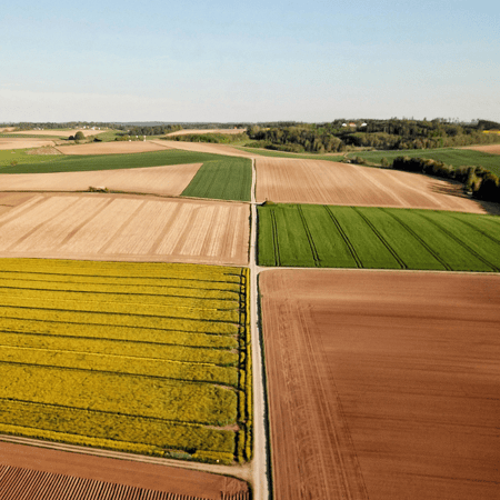 An aerial view of different colored farm fields.