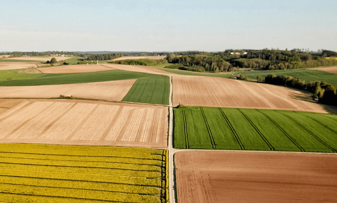 An aerial view of different colored farm fields.