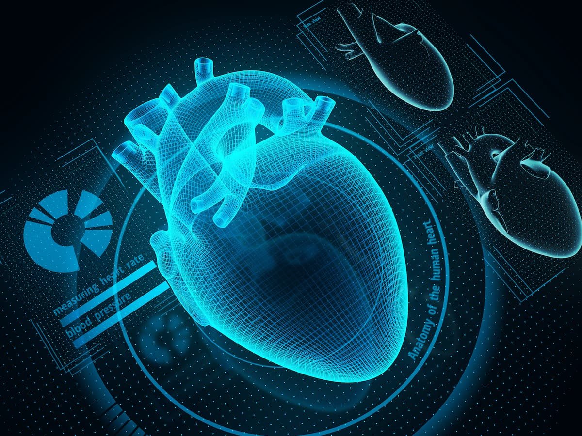 A stylized graphic of a heart.