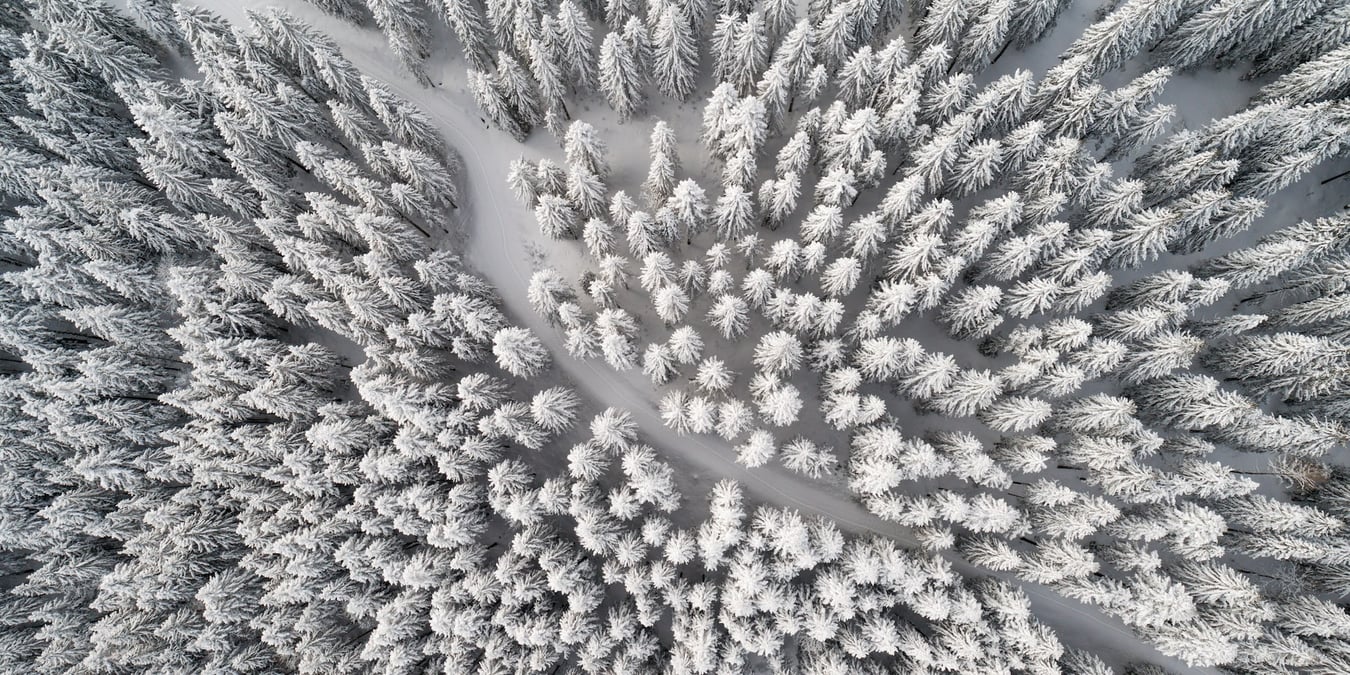 A top-down view of a snowy forest.
