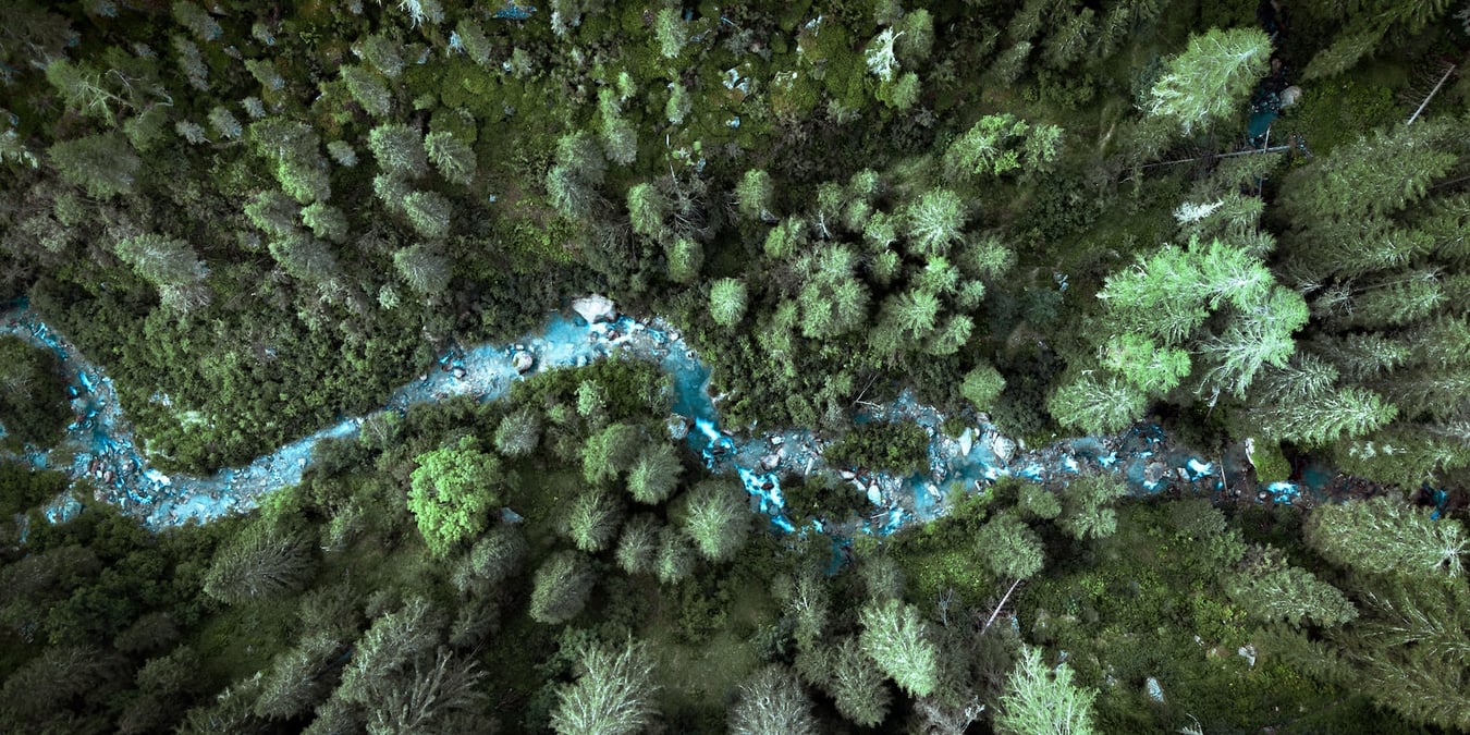 A forest from above with a stream running left to right.