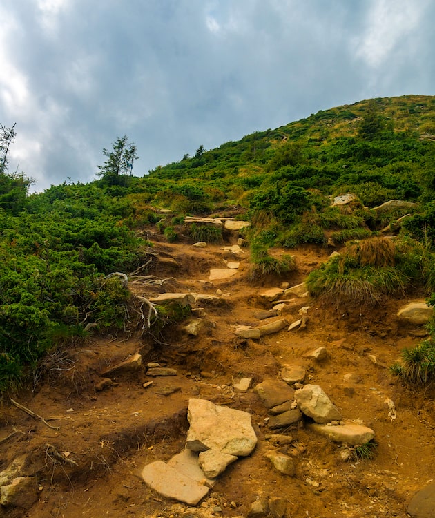 A rocky hillside with some greenery.